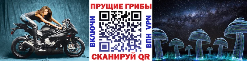 Псилоцибиновые грибы Psilocybe  Купить где  Киржач 